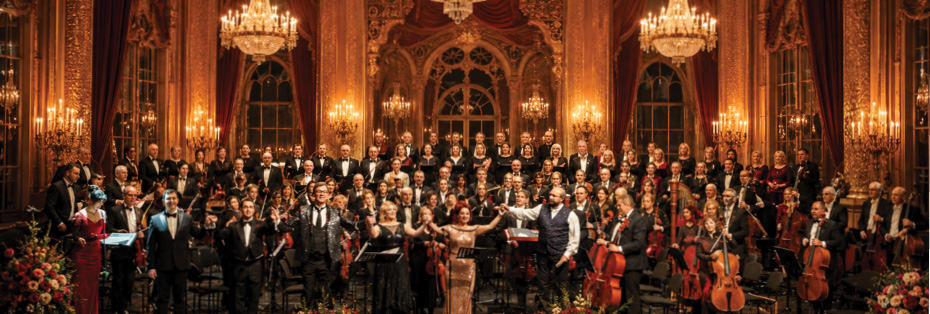 VIENNA BALL- ���� ������� 26-27